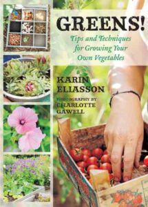 How to Grow Lettuce Image